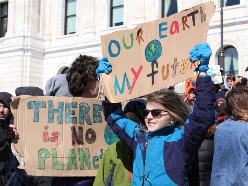 Murky Marketing: The Meat&nbsp;Industry