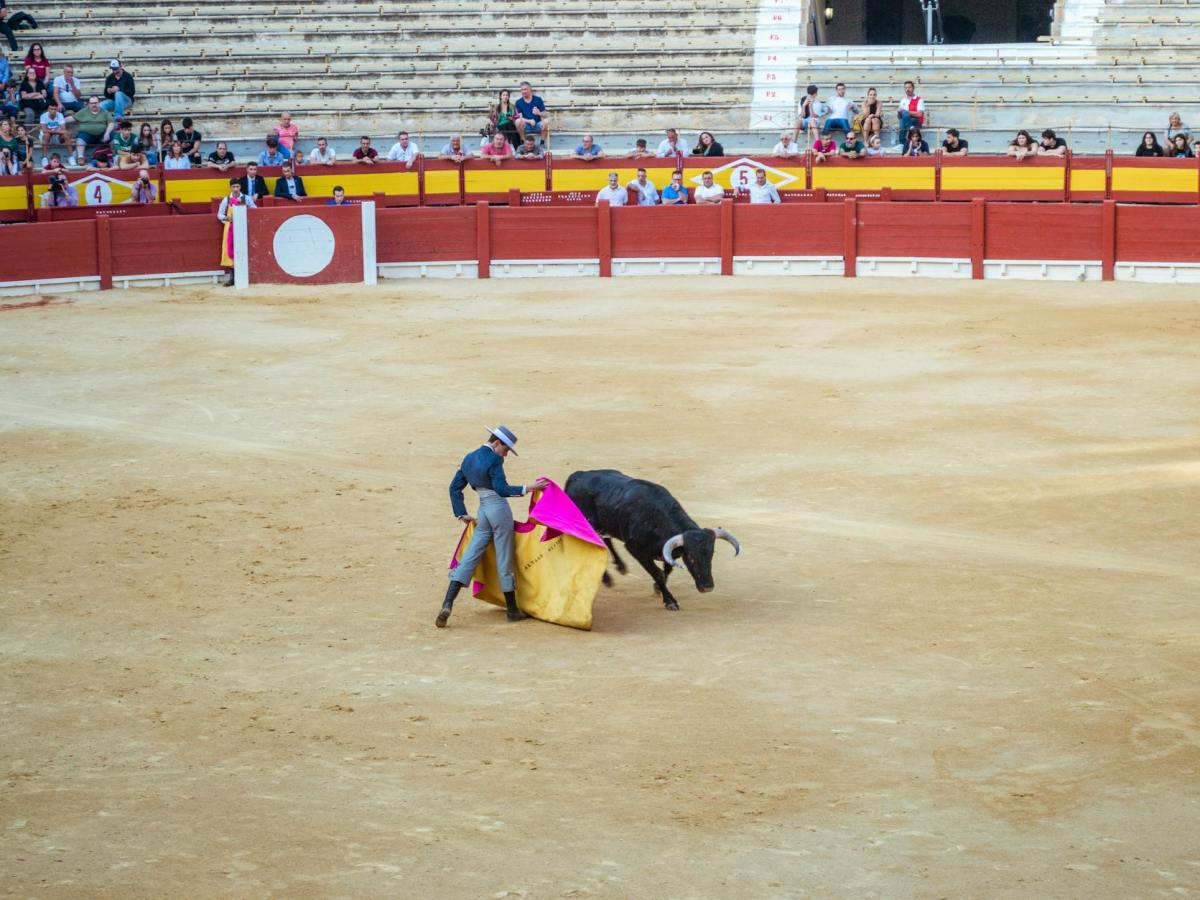 Bullfighting is dying a slow death in South&nbsp;America