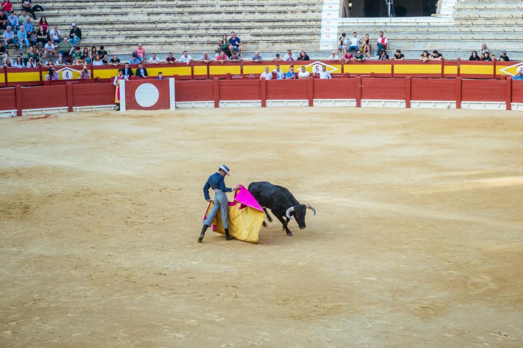 Bullfighting is dying a slow death in South&nbsp;America