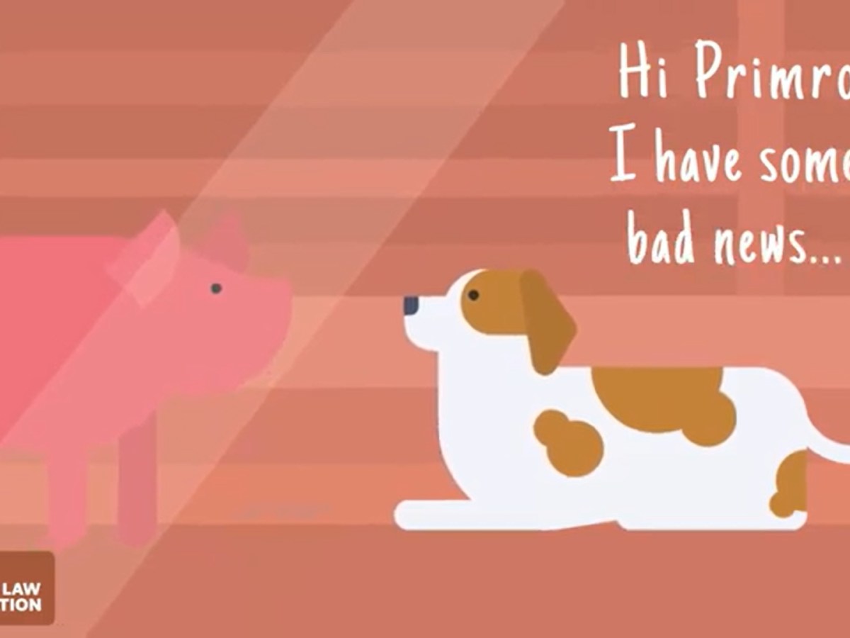 Can storytelling close the enforcement gap in animal welfare&nbsp;law?