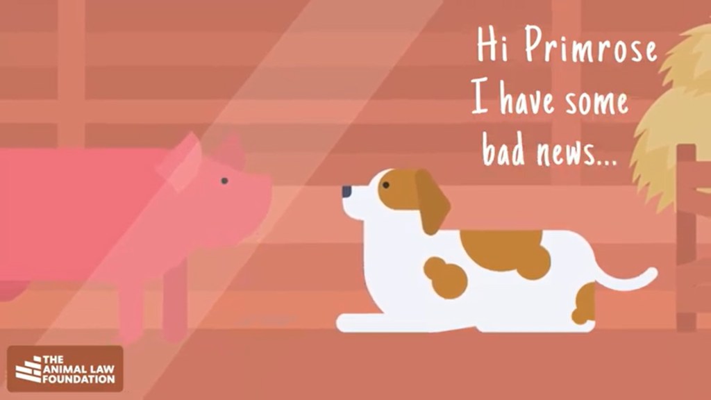 Can storytelling close the enforcement gap in animal welfare&nbsp;law?