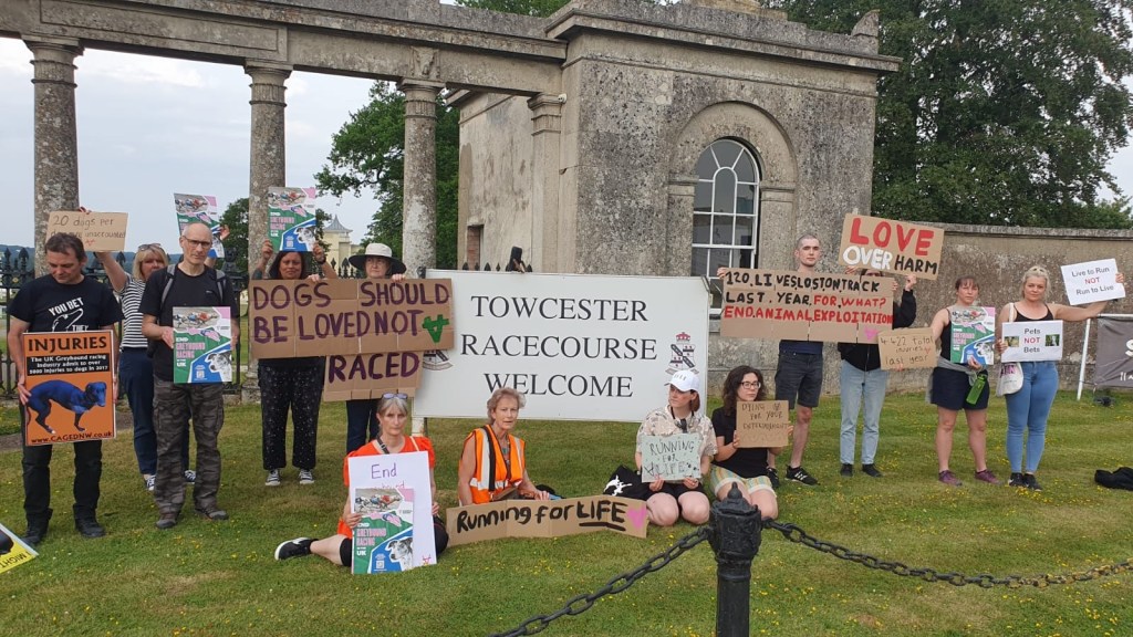 Animal Rebellion protest at Towcester Racecourse
