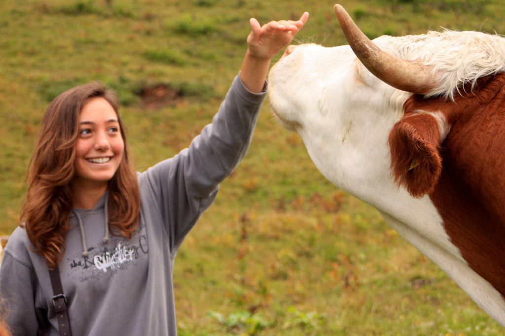 Yara Zalzal, vegan poet, playing with a free-ranging cow