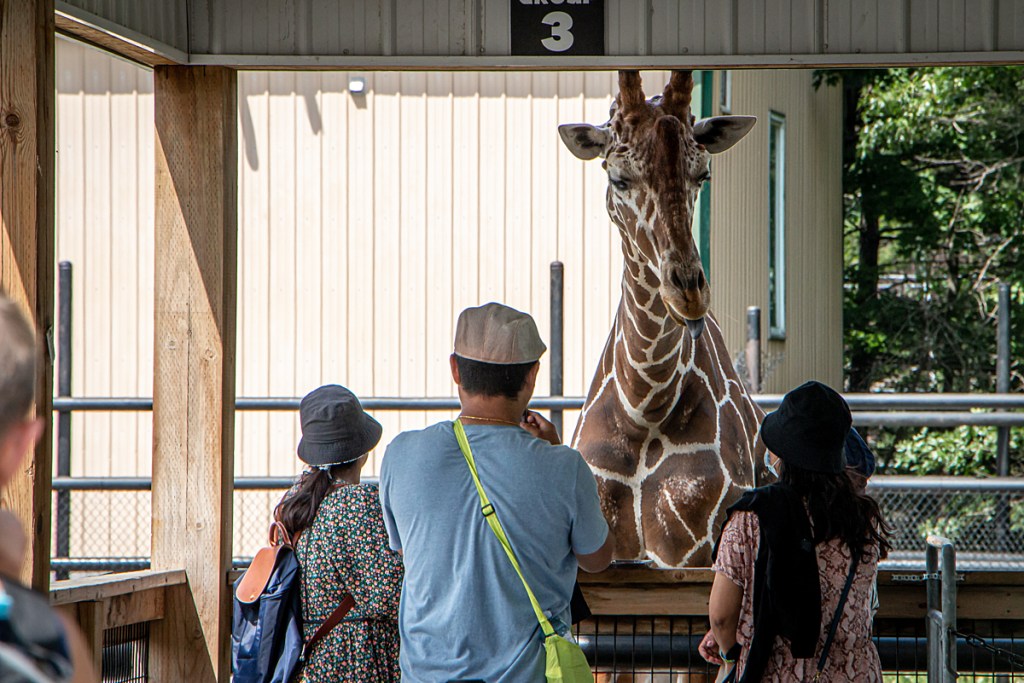 Two in five zoos in the UK are concerned about their&nbsp;finances